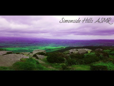 ASMR Virtual Forest Walk/Hill Climb - Simonside Hills