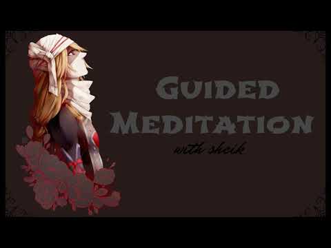 ♡ Guided Meditation with Sheik ♡