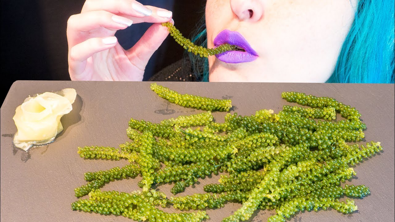 ASMR: Extremely Crunchy Raw Sea Grapes | Green Caviar ~ Relaxing Eating Sounds [V] 😻