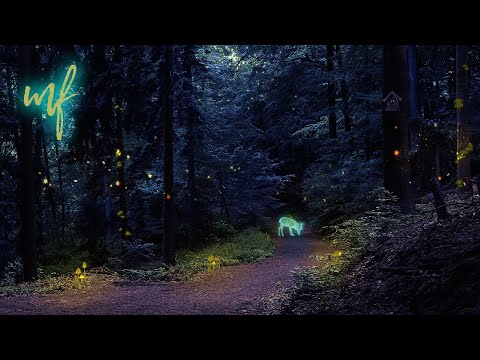 Mushroom Forest ASMR Ambience (with a special intro:))