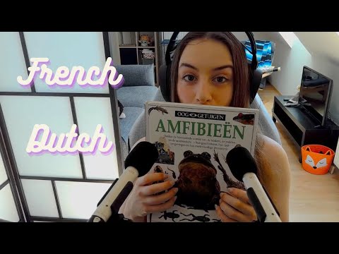 [ASMR]| French & Dutch Reading