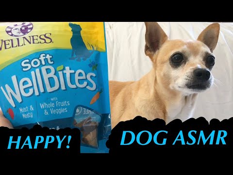 DOG ASMR! Happy Eats His Favorite Snacks! (Dog Eating Sounds)