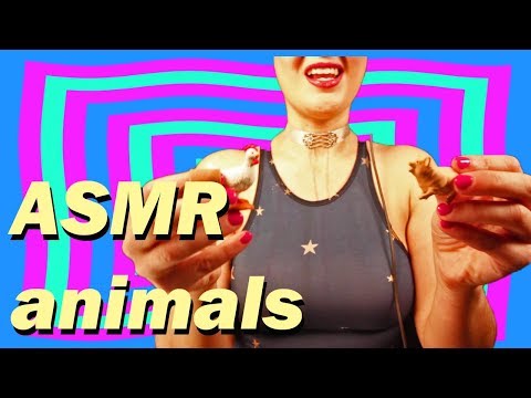 ASMR: Animals Return!!!