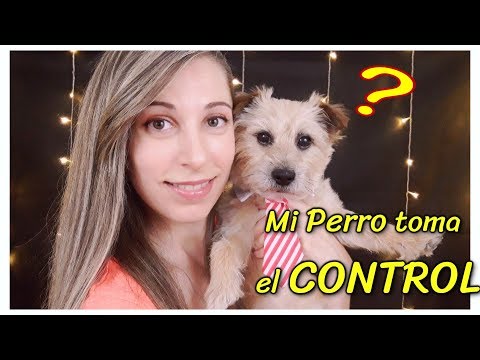 Mi PERRO decide lo que me habéis pedido + Vídeo extra a elegir | 2x1 | SusurrosdelSurr ASMR