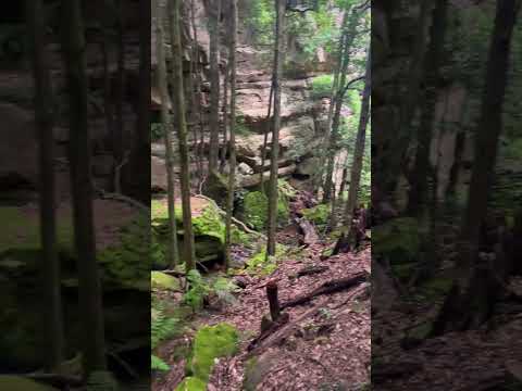 nature heals 🥰 #asmr #asmrvideo #asmrwhispering #relax #waterfalls #hiking