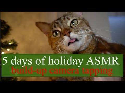 5 days of ASMR| xmas tree buildup tapping🎄
