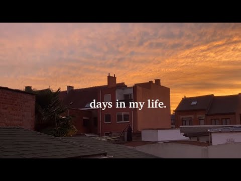video diary: boring days in my life.