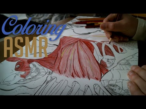ASMR Coloring | Attack on Titan! Tapping, Paper Sounds & Coloring (No Talking)