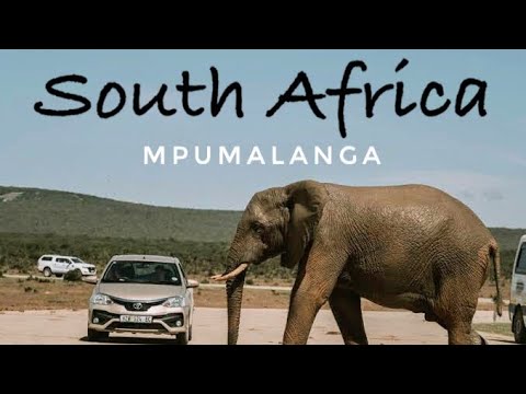 ASMR Vlog (Road Trip To Kruger National Park, Skukuza Camp) Soft-Spoken For Relaxation & Sleep! 🦒💤