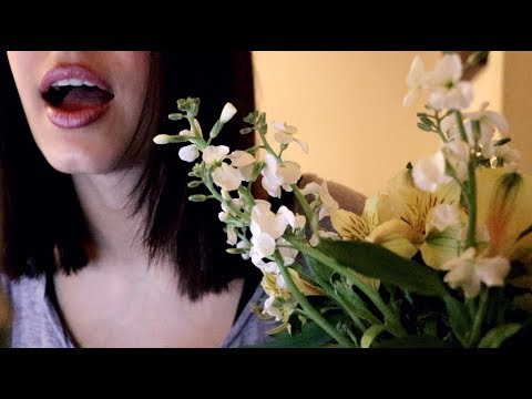 ASMR Friend Caring For Your Cold (Whisper + Tapping/Spray/Crinkle Sounds + Face Brushing)