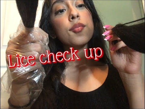 ASMR Lice Check *WITH HAIR* RP !