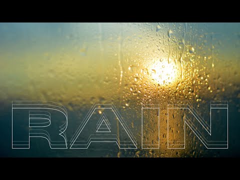 ASMR | Early Morning Outside of My Window | Rain and Birds Sounds for Sleeping | Audio (No Talking)