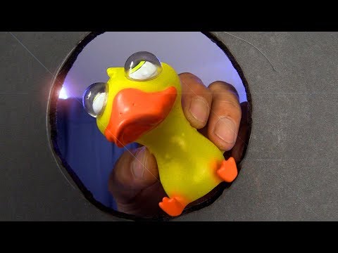 SAVE A DUCK ASMR