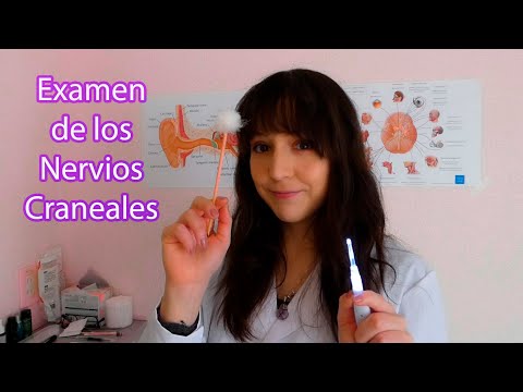 ⭐ASMR Examen de Nervios Craneales Completo (Sub. English, Binaural, Soft Spoken)