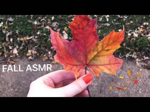 Crunchy Leaves & Fall Nature Sounds |Mini ASMR Vlog w/ Whispers|