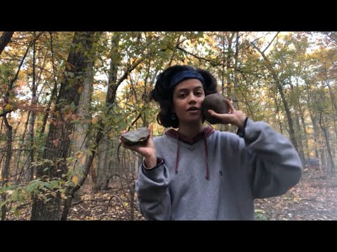 ASMR~ This or That in the Forest