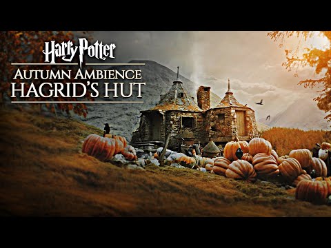 Hogwarts Autumn 🍂 Hagrid's Hut ◈ Harry Potter inspired Ambience / Falling Leaves + Rain showers