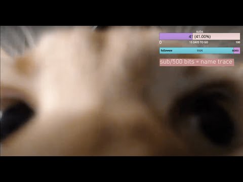 my cat took over the asmr stream (VOD 02/26/22)