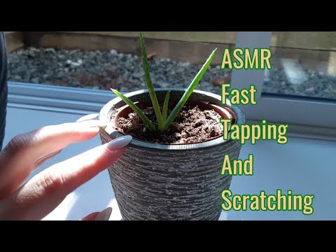 ASMR Fast Tapping And Scratching(Whispered)Lo-fi