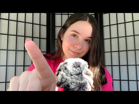 ASMR Positive Affirmations (Personal Attention, Fluffy Mic Brushing)