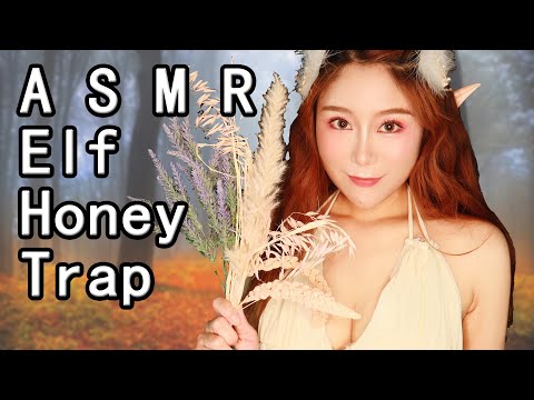 ASMR Elf Role Play Honey Trap Adventures in the Misty Forest Humming Song