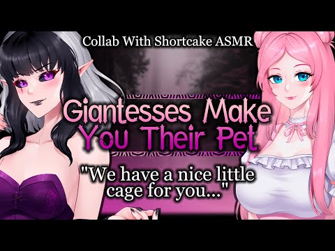 Dominant Giantesses Kidnap You And Make You Their Pet [Mommy] | Monster Girl ASMR Roleplay /FF4A/