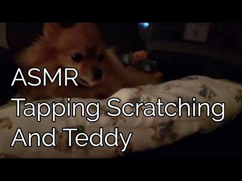 ASMR Tapping Scratching And Teddy