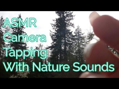 ASMR Camera Tapping (With Nature Sounds) Lo-fi