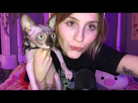 Quick ASMR with my Sphynx kitten Olive🫒