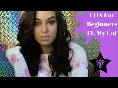(NON ASMR) Using the Law of Attraction: Beginners Tips