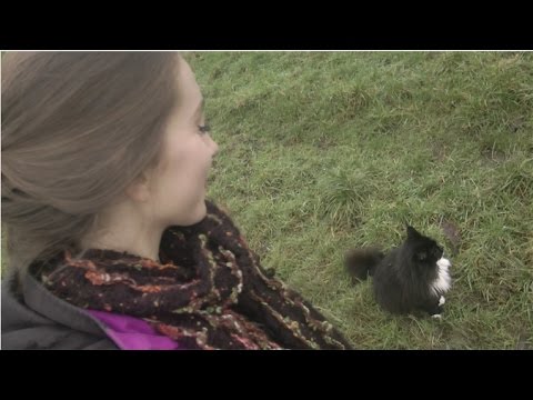 ASMR - Nature walk with kitty =^.^= (Whispered + Soft-Spoken)