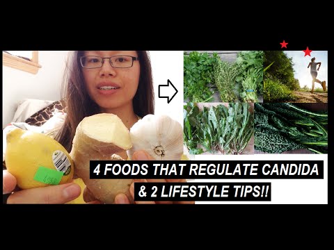4 Foods That Regulate Candida & 2 MAJOR LIFESTYLE TIPS!