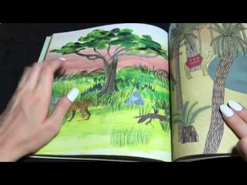 TRACING A FOREST PICTURE BOOK ASMR (Soft Spoken)