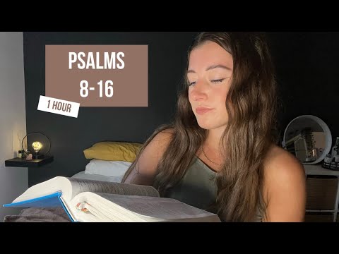 1 hour Psalms 8-16 Bible Reading | asmr