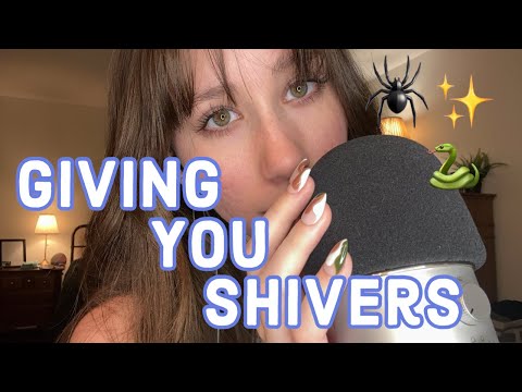 ASMR | Spiders Crawling Up Your Back, Snakes Slithering Down 🕷️ 🐍