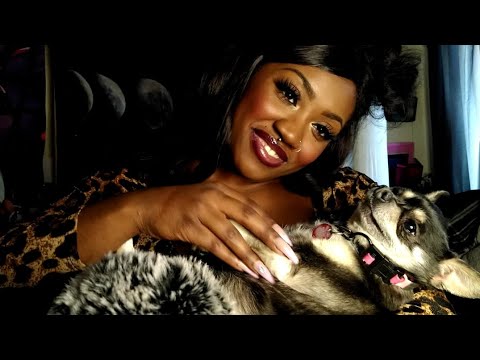 ASMR| Petting My Fur Baby + Soft Whispers for Adorable Relaxation ❤️ #asmr