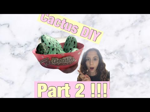 DIY cactus part 2 !!!
