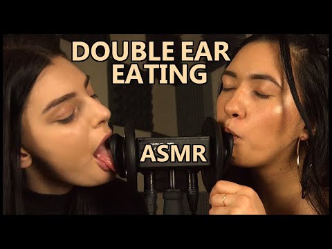 (ASMR) Ear Licking Double Dose 🔊❤️ Tingly Nomming ASMR With Ekko and Muna ASMR - The ASMR Collection