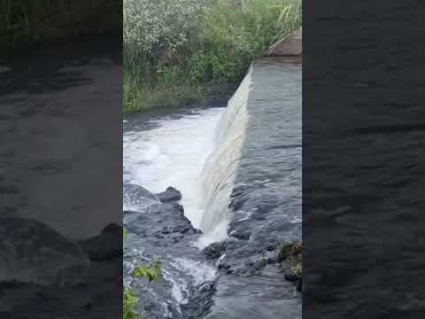 sons da cachoeira (sons de água) 💦
