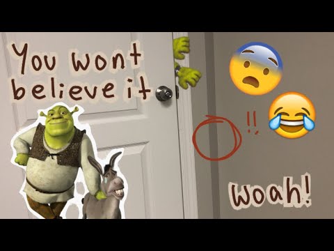 ASMR sherk is trying to break into your house