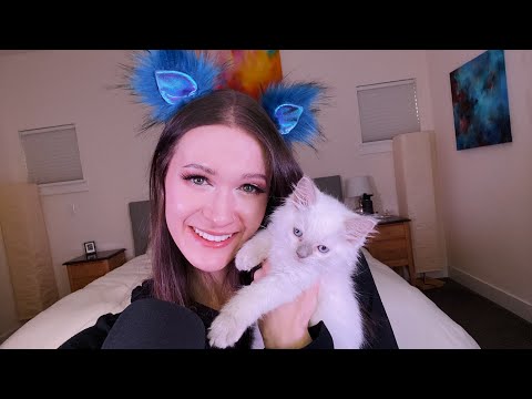 ASMR With My Ragdoll Kitten 😻 The CUTEST ASMR Video You'll Ever watch!