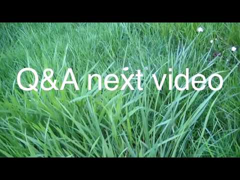 next video- Q & A- comments/Q's below please!