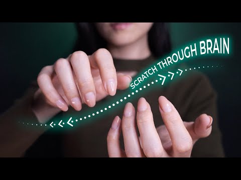 ASMR Scratching Through Your Brain | Invisible + 3D Triggers (No Talking)