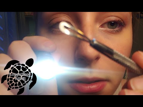 ASMR Dermatologist Appointment Roleplay and Personal Attention - Loggerhead ASMR