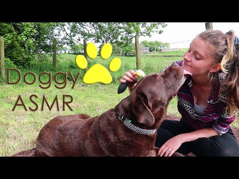 ASMR 🐶 Brushing Bailey The Bear