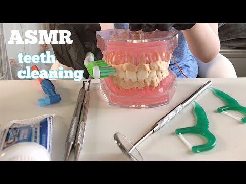ASMR | Up Close Teeth Cleaning...
