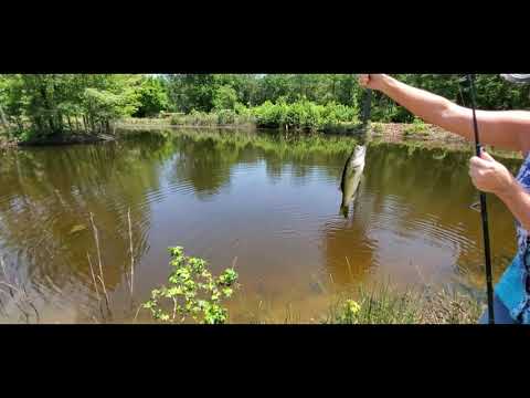 Request | Come Fishing With Me