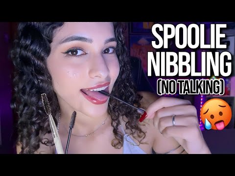 ASMR | SPOOLIE NIBBLING MOUTH SOUNDS (no talking) ᶻ 𝗓 𐰁