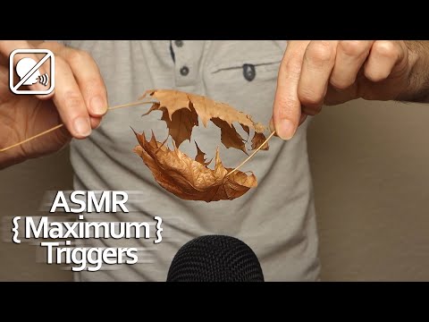 ASMR {~Maximum~} Triggers (No talking) ::Close-Up::