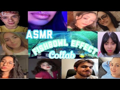 ASMR ~ Fishbowl Collab 🐠